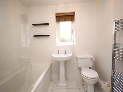 Picture 13